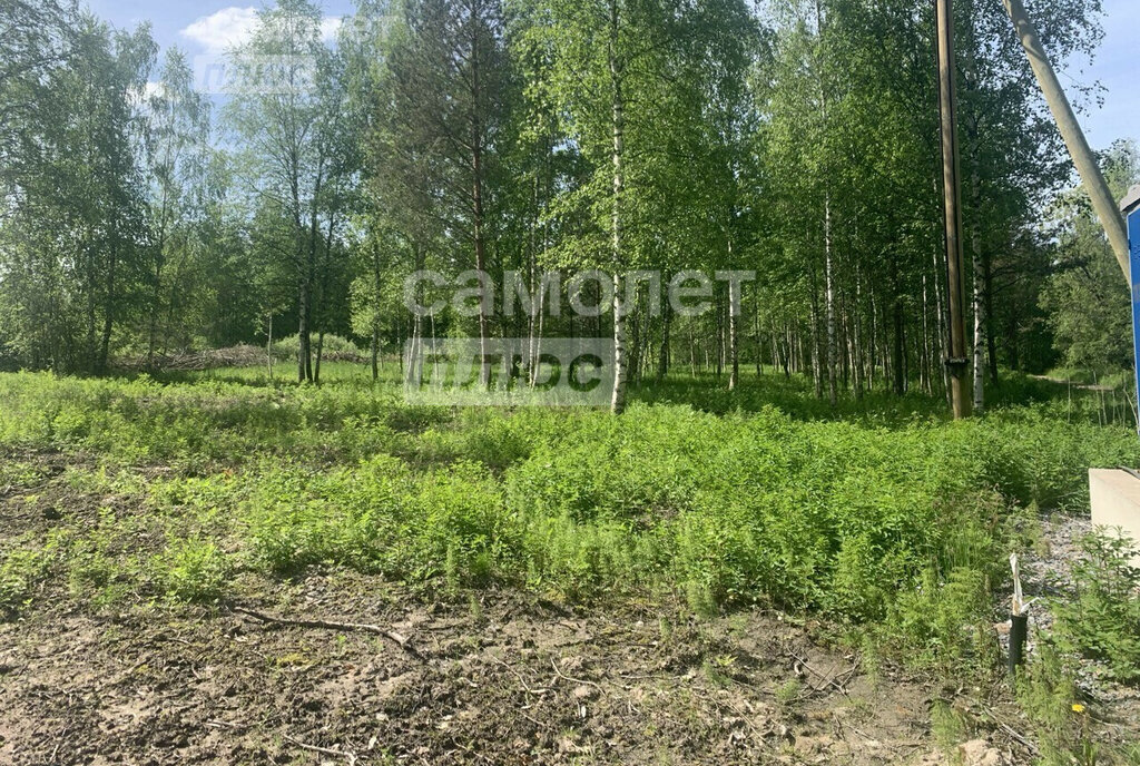 земля р-н Выборгский п Правдино Красносельское сельское поселение фото 2