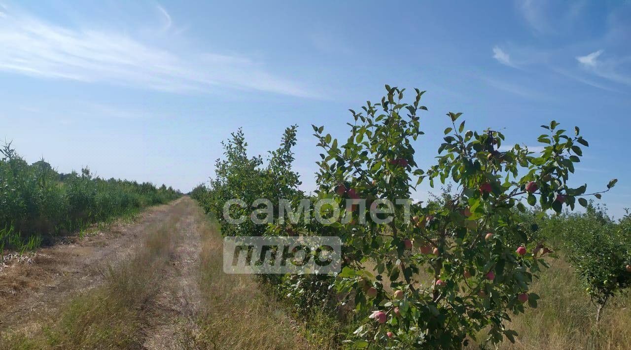 земля р-н Харабалинский г Харабали фото 4