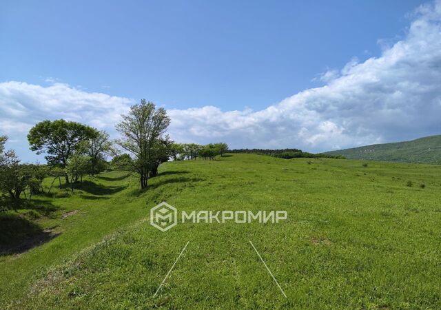 земля ул Школьная Зелёновское сельское поселение, Ялта фото