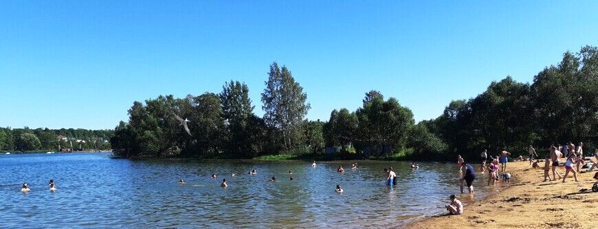 дом г Красное Село ул Ново-Железнодорожная метро Проспект Ветеранов фото 11