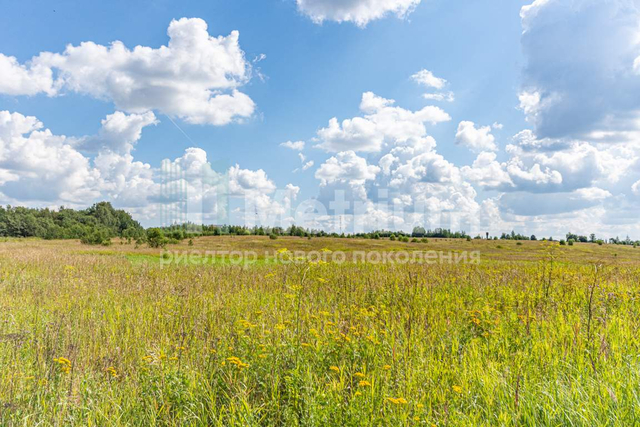 Истра г, Новорижское шоссе фото