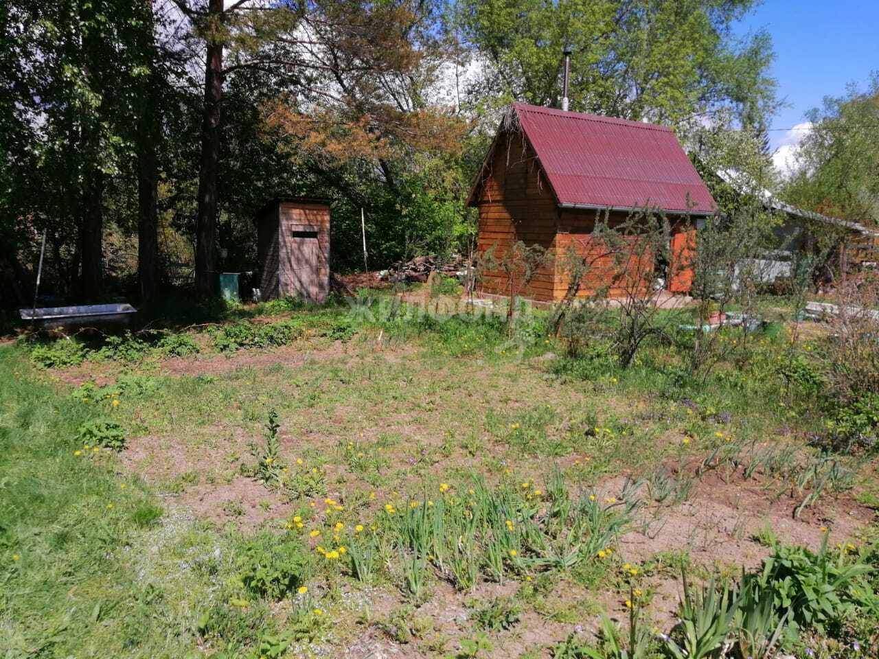 земля р-н Новосибирский Зеленый остров территория снт фото 3