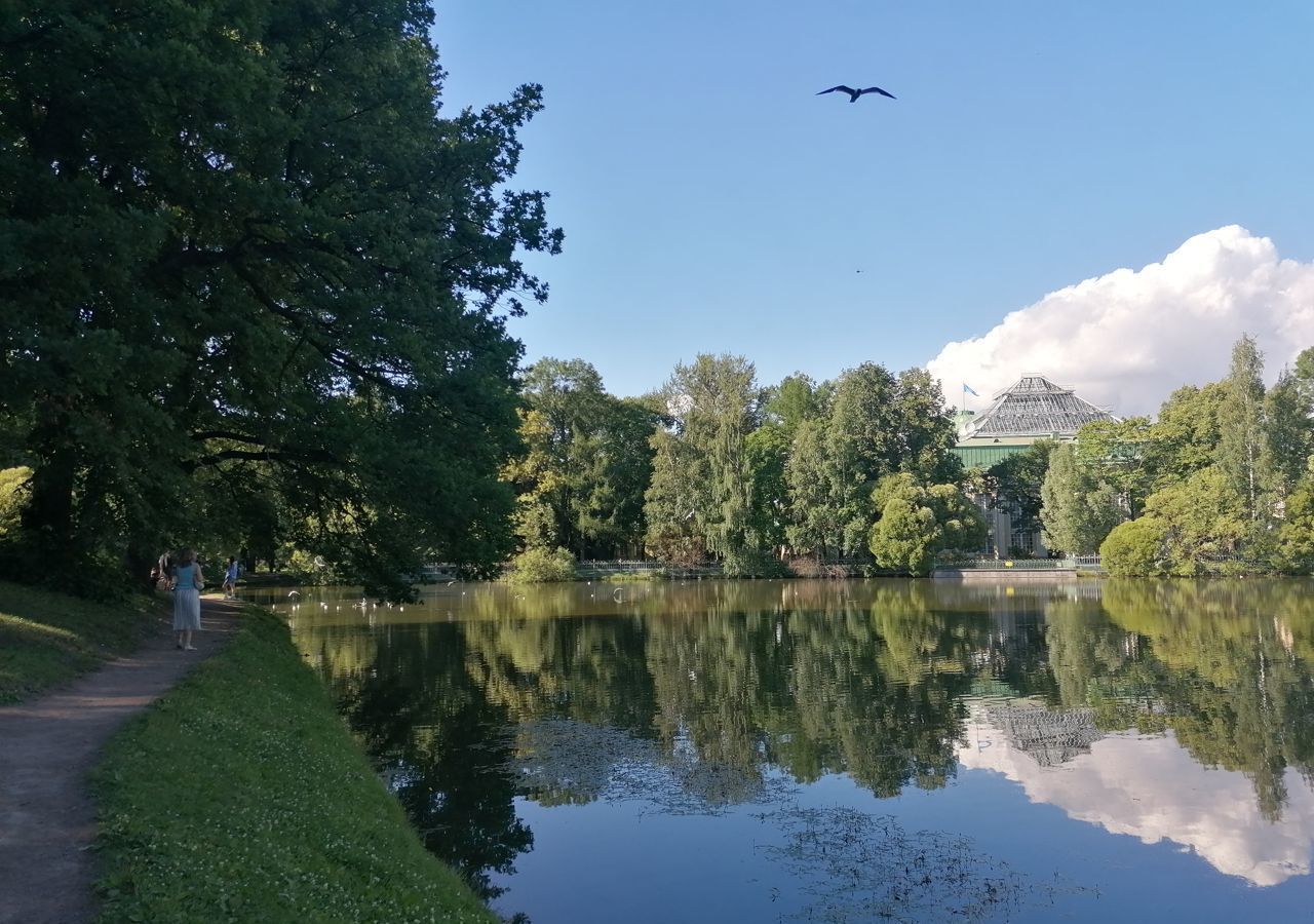 квартира г Санкт-Петербург метро Чернышевская пр-кт Греческий 12 фото 32