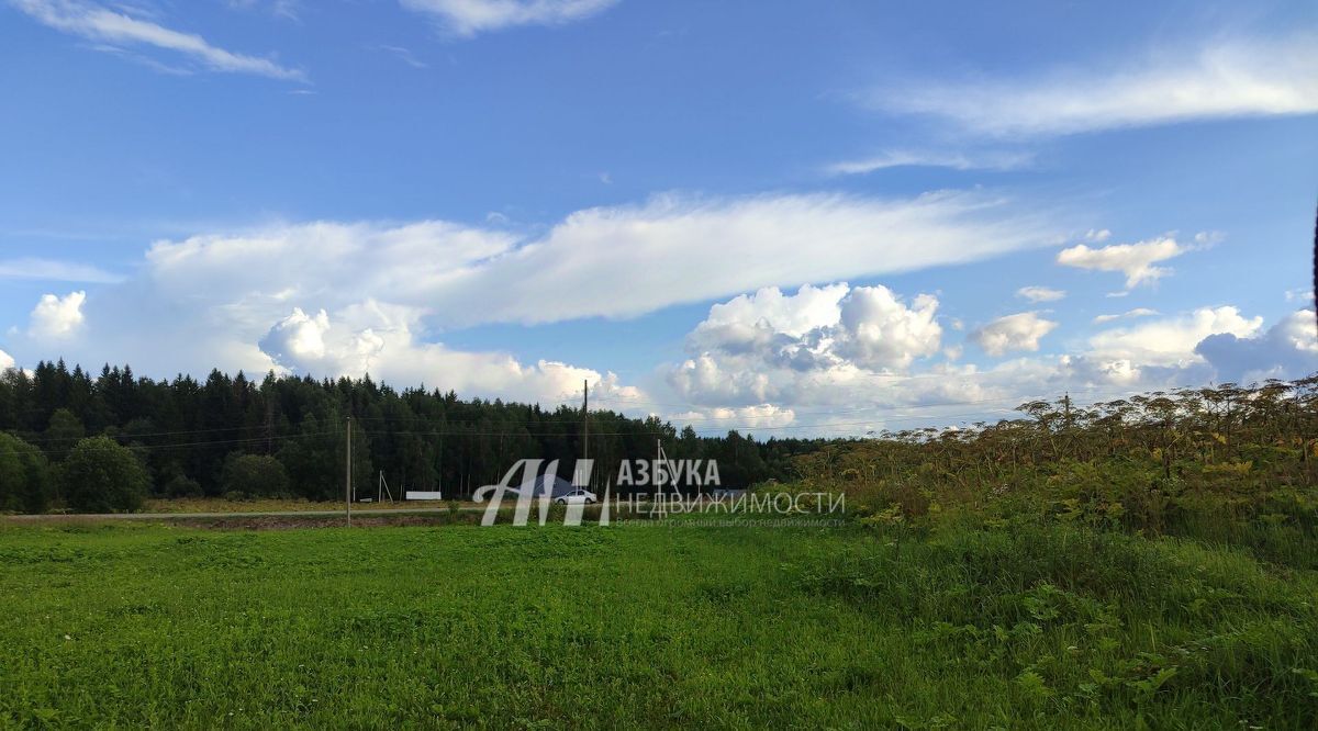 земля городской округ Рузский д Мытники ул Луговая фото 7