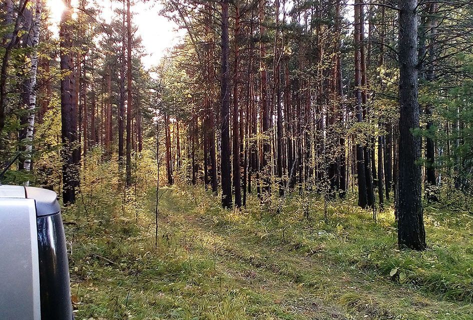 земля р-н Емельяновский фото 4