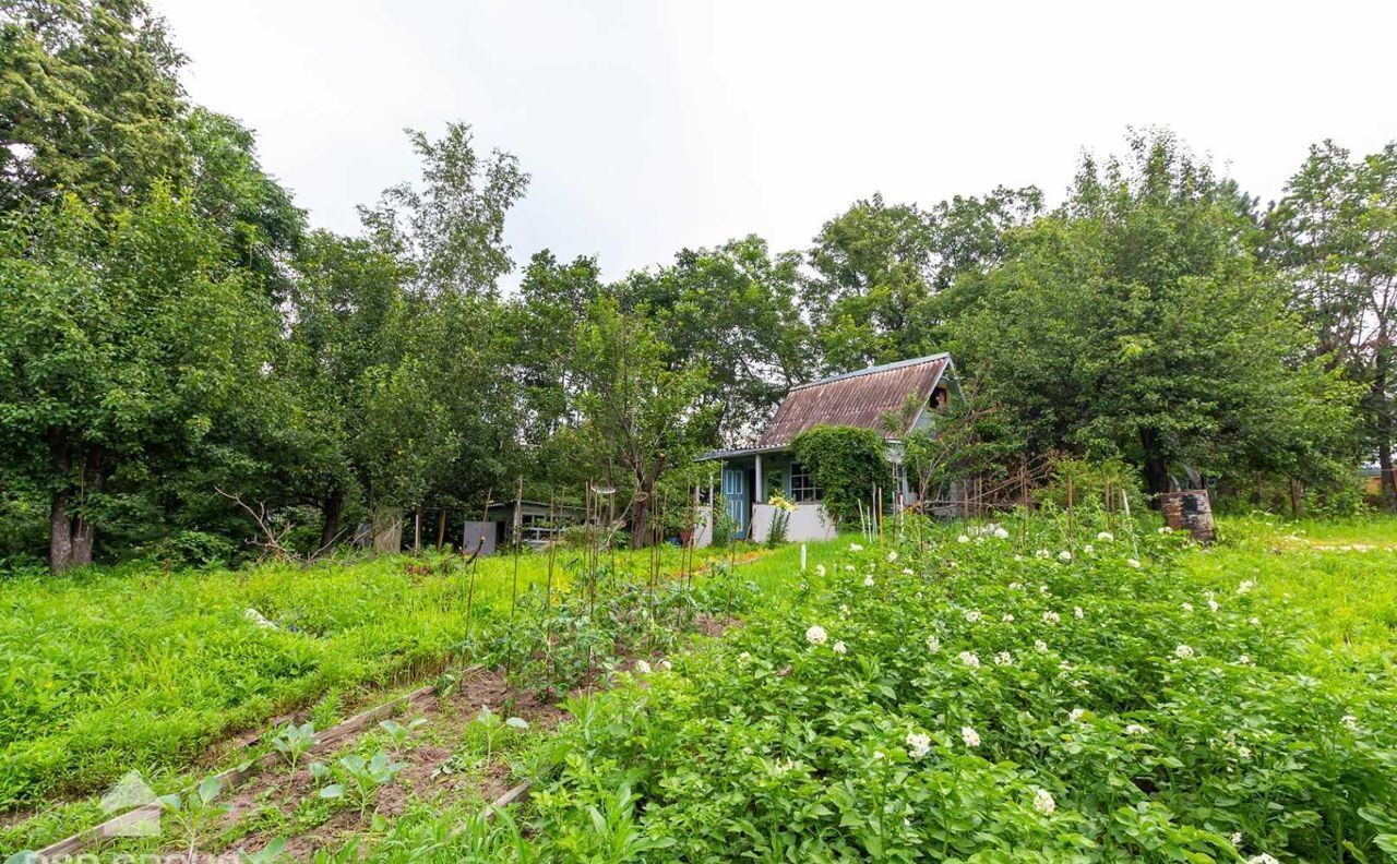 дом р-н Хабаровский с Корсаково-1 снт тер.Иволга Хабаровск фото 17