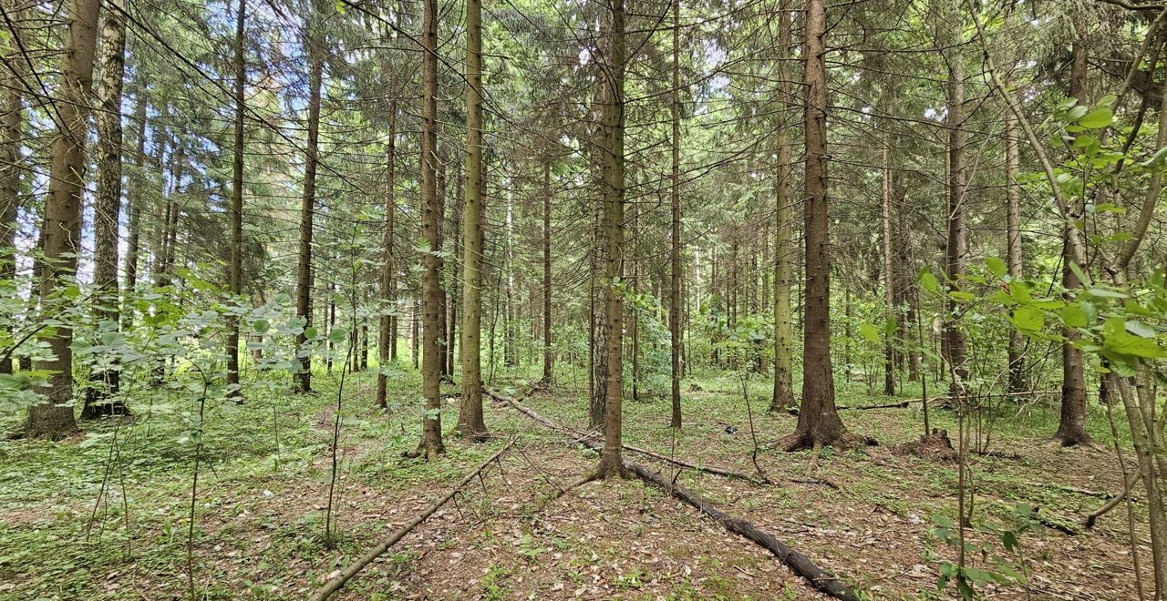 земля городской округ Наро-Фоминский д Селятино 9758 км, Киевское шоссе фото 1