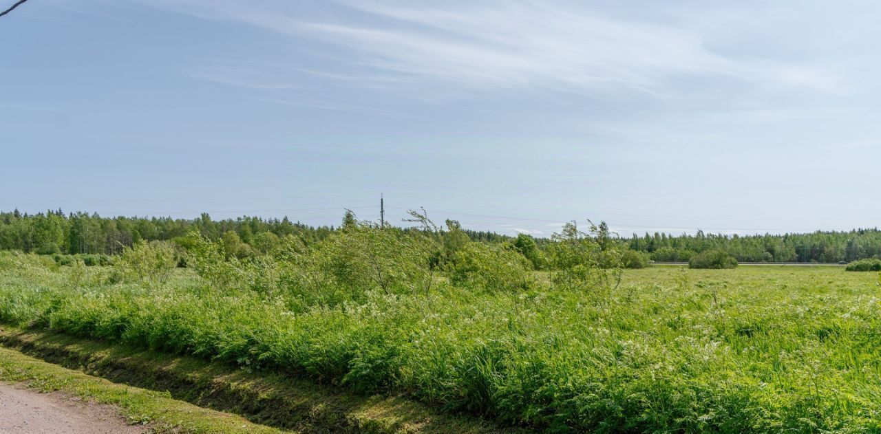 земля р-н Всеволожский Колтушское городское поселение, Коркинский ручей кп фото 6