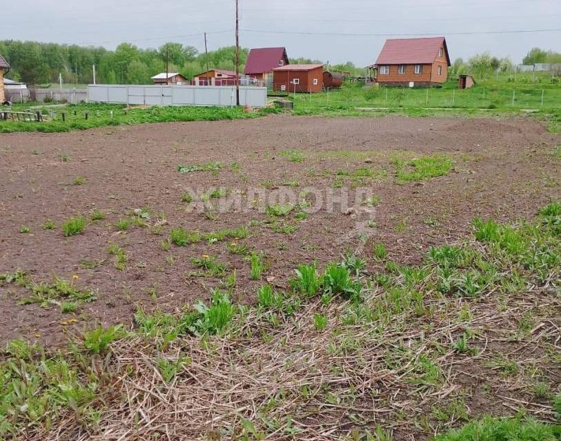 земля р-н Новосибирский с Быково ул Школьная Березовский сельсовет фото 1