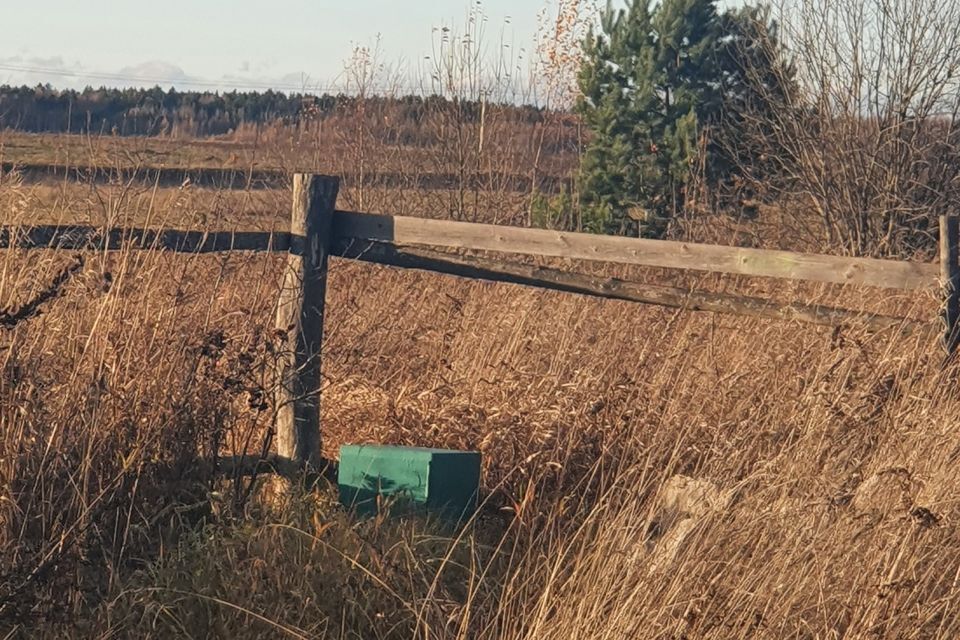 земля городской округ Коломна, посёлок Каменка фото 3