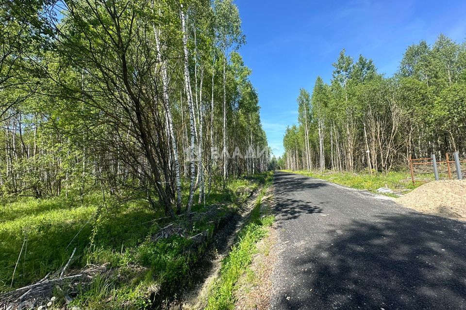 земля городской округ Раменский Дергаево-2 фото 2