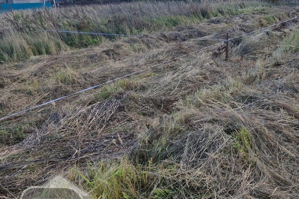 земля городской округ Раменский село Рыболово фото 4