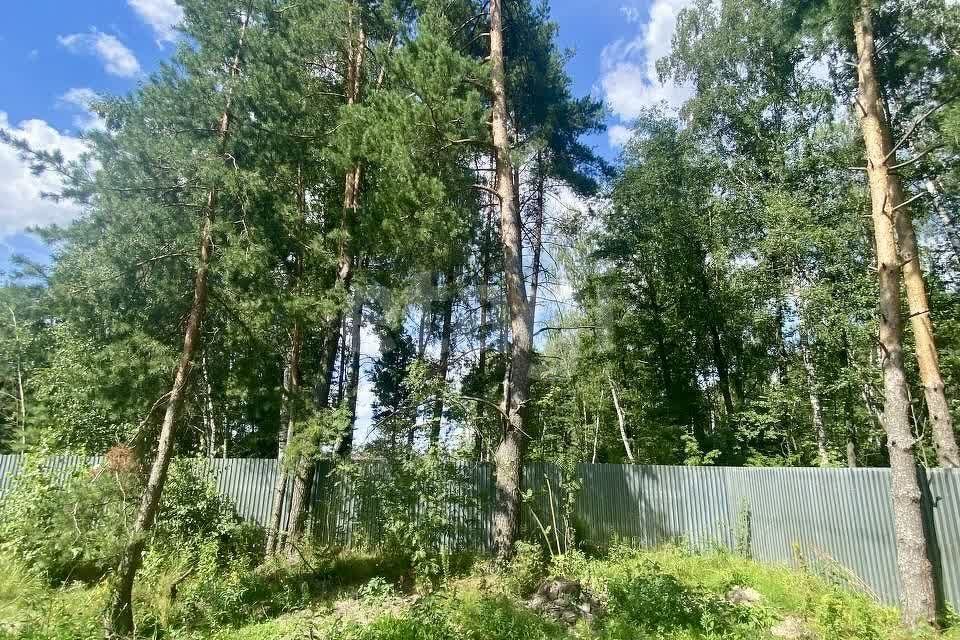 земля городской округ Воскресенск СПК Виноградовский фото 5