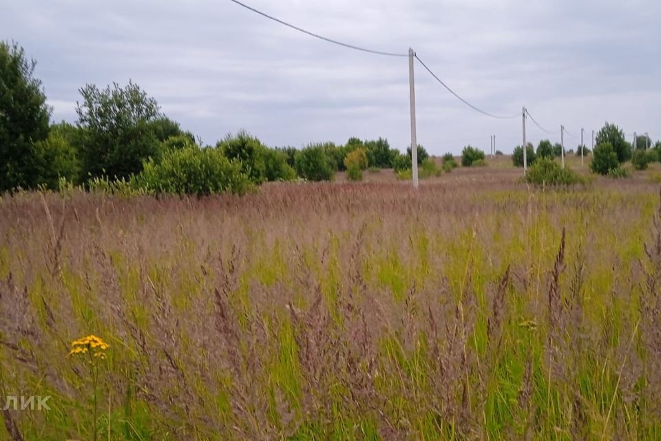 земля городской округ Можайский фото 7