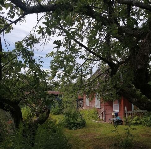 массив Михайловский снт Подъёмник Мгинское городское поселение фото