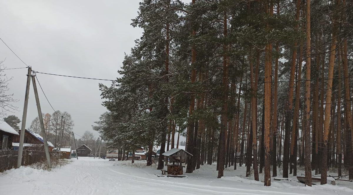 земля р-н Медведевский п Старожильск Азяковское с/пос фото 18