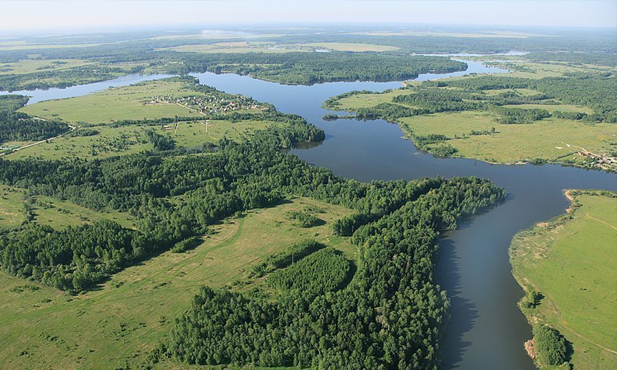 земля городской округ Шаховская д Щемелинки ул Малая Лесная 123 км, Новорижское шоссе фото 1