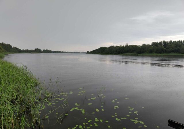 Таллинское шоссе, 90 км, Кузёмкинское сельское поселение, Усть-Луга фото