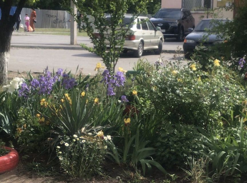 квартира г Ростов-на-Дону р-н Первомайский Темерник ул Думенко 7/9 городской округ Ростов-на-Дону фото 8