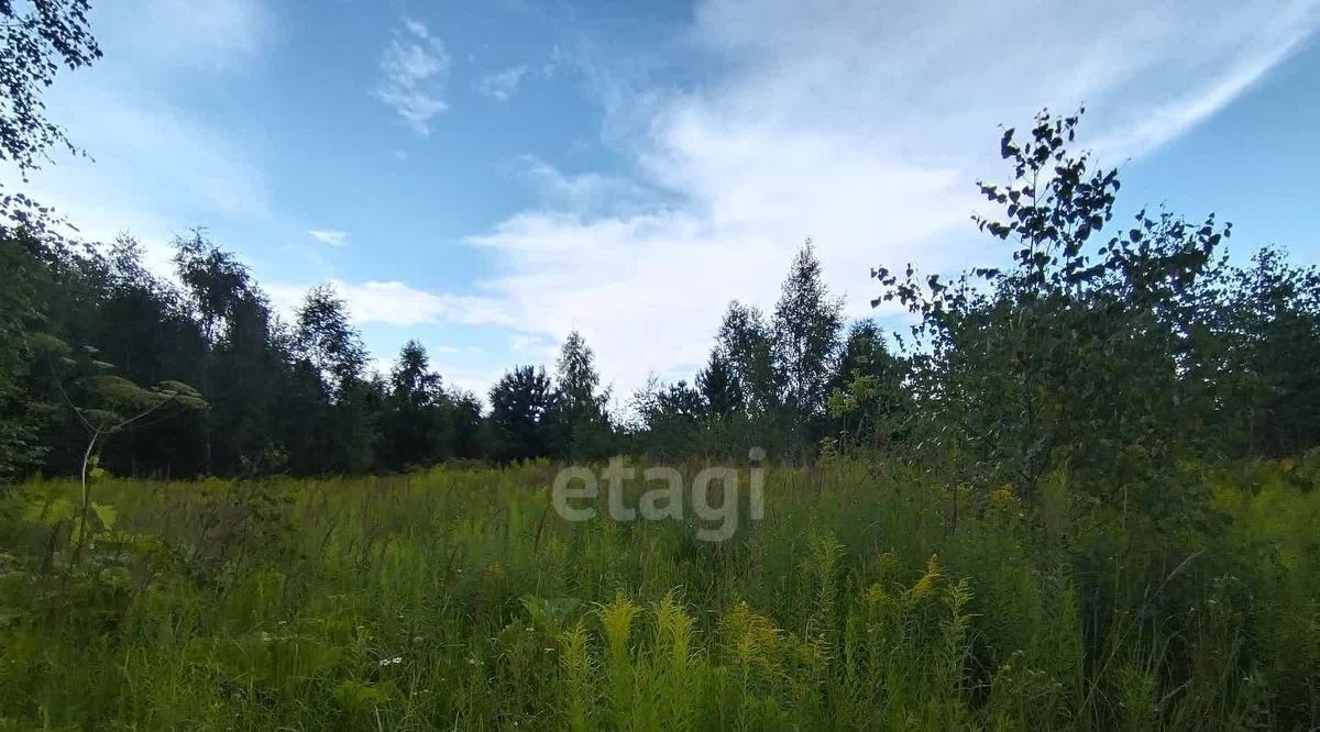 земля р-н Городецкий д. Максимовское фото 2