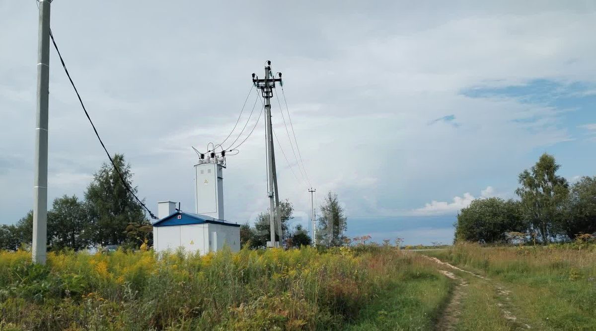 земля р-н Городецкий д. Максимовское фото 22