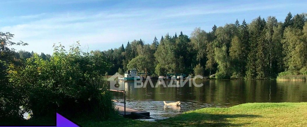 дом городской округ Мытищи д Фелисово Лобня фото 10