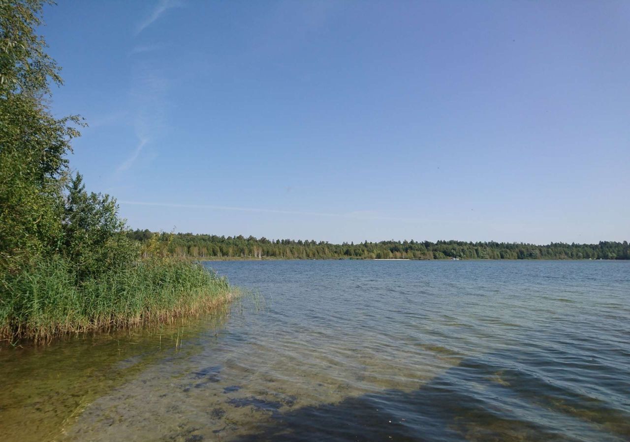 земля городской округ Орехово-Зуевский д Гора снт Гора-89 493, Ликино-Дулево фото 2