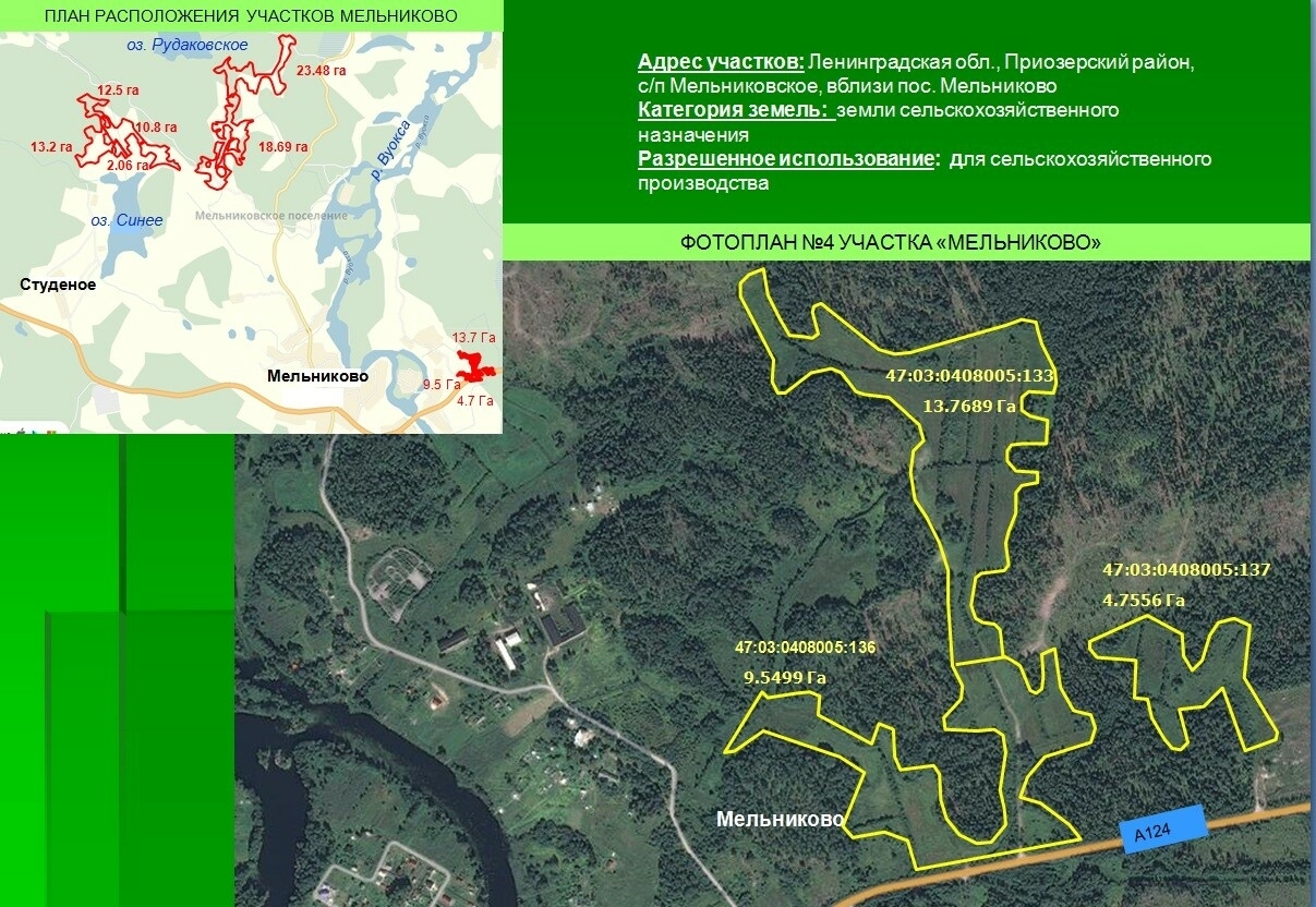 земля р-н Приозерский п Мельниково фото 11