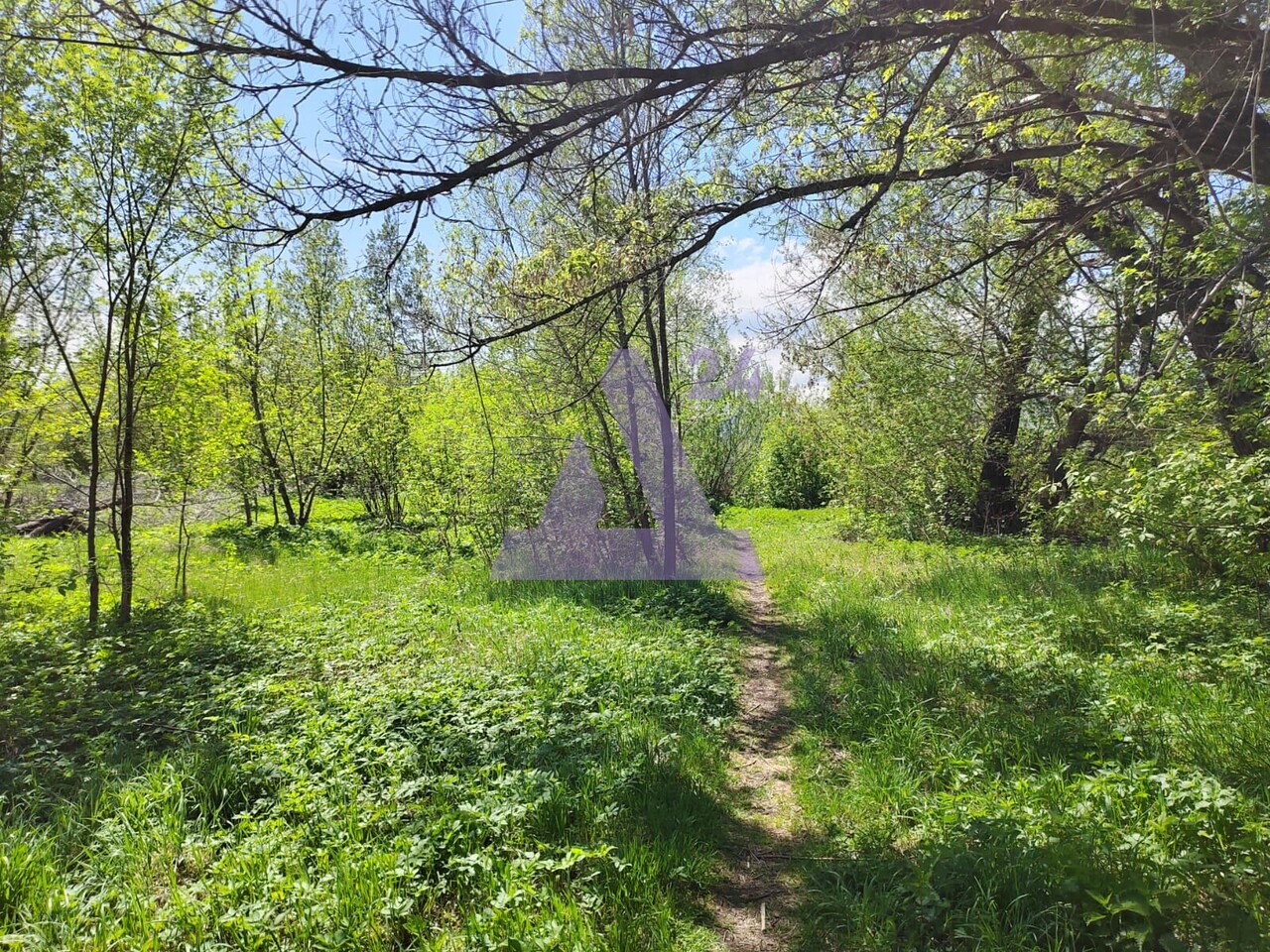 земля р-н Алтайский с Алтайское улица В. С. Ершова фото 1