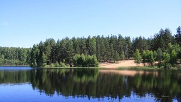 дом р-н Лужский д Раковичи Скребловское сельское поселение, Луга фото 12