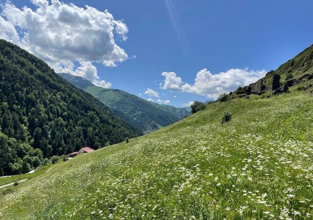 земля Республика Северная Осетия — Алагирский р-н, Алагир фото