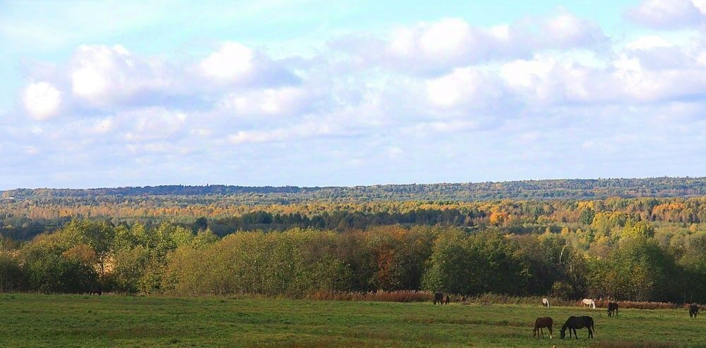 земля р-н Ломоносовский Ропшинское с/пос, Ропшинская долина кп, Царский склон кп фото 9