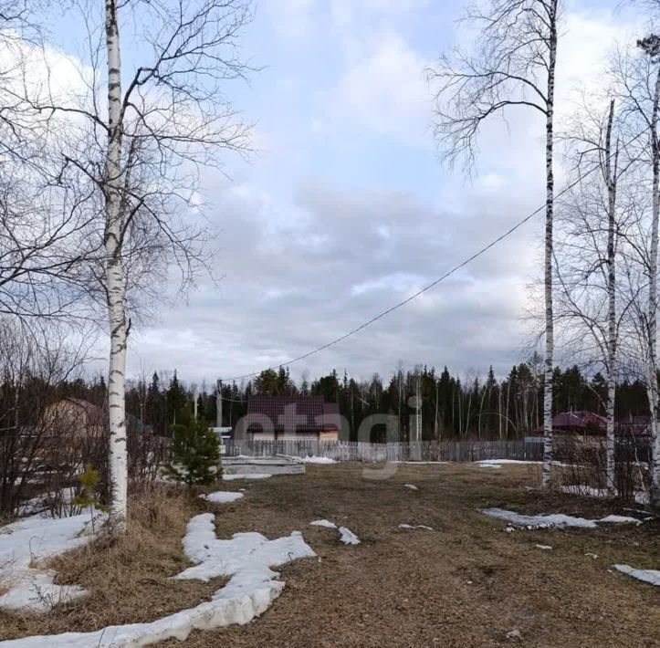 земля р-н Томский с Тахтамышево пер Тихий фото 2