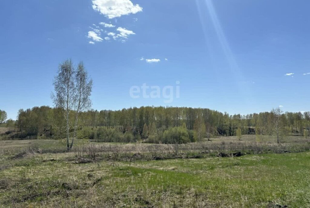 земля р-н Новосибирский Верх-Тулинский сельсовет фото 1