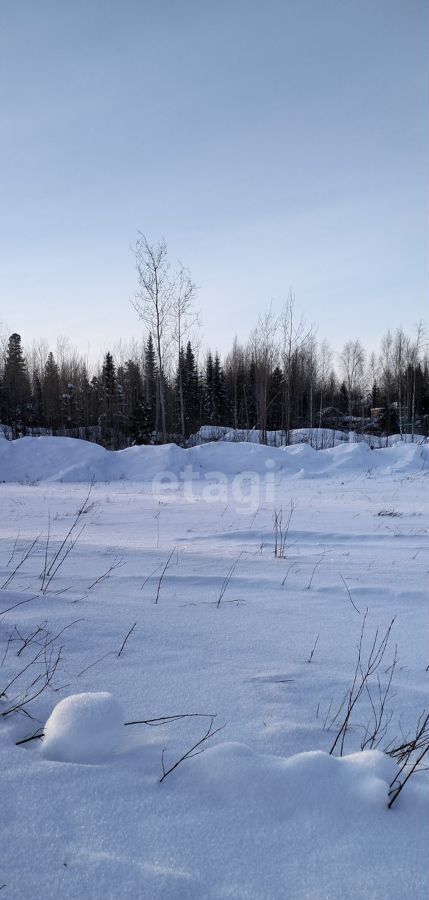 земля г Ханты-Мансийск садово-огороднический кооператив Строитель, 77 фото 2