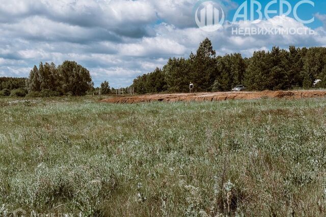 д Коржавино ул Зелёная округ Муром фото