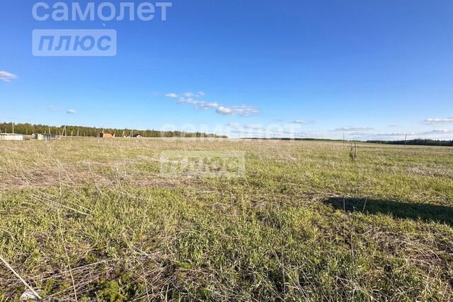 д Майская Горка ул Лесная Республика Татарстан Татарстан фото