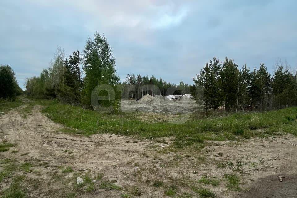 земля р-н Нижнетавдинский деревня Красный Яр фото 1