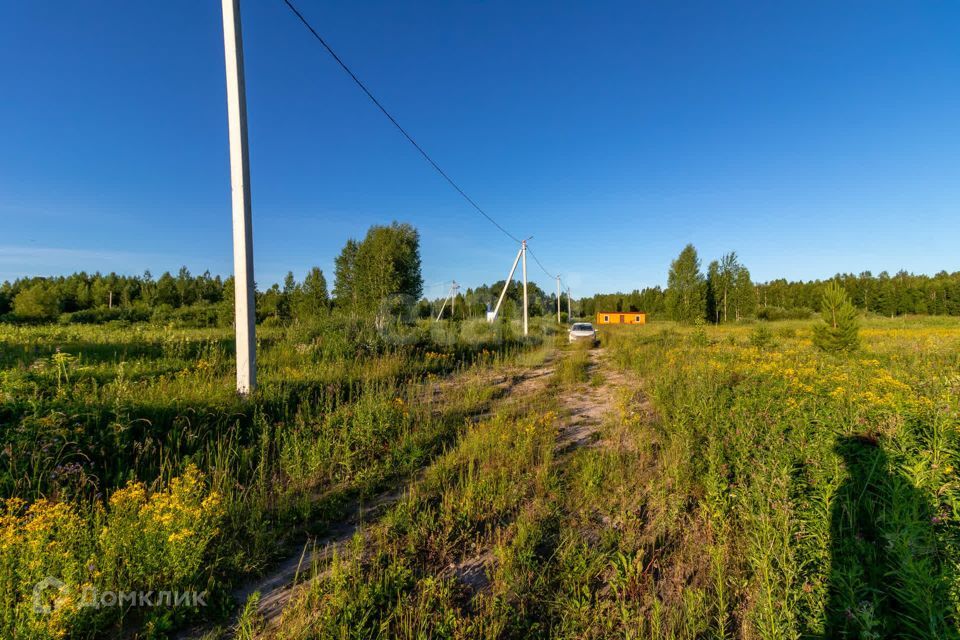 земля р-н Нижнетавдинский ДНП Журавли фото 4