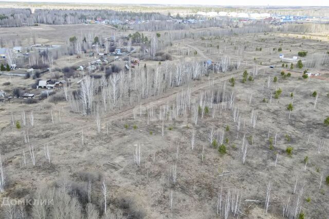 городской округ Тюмень, садовое товарищество Золотая Осень-2 фото