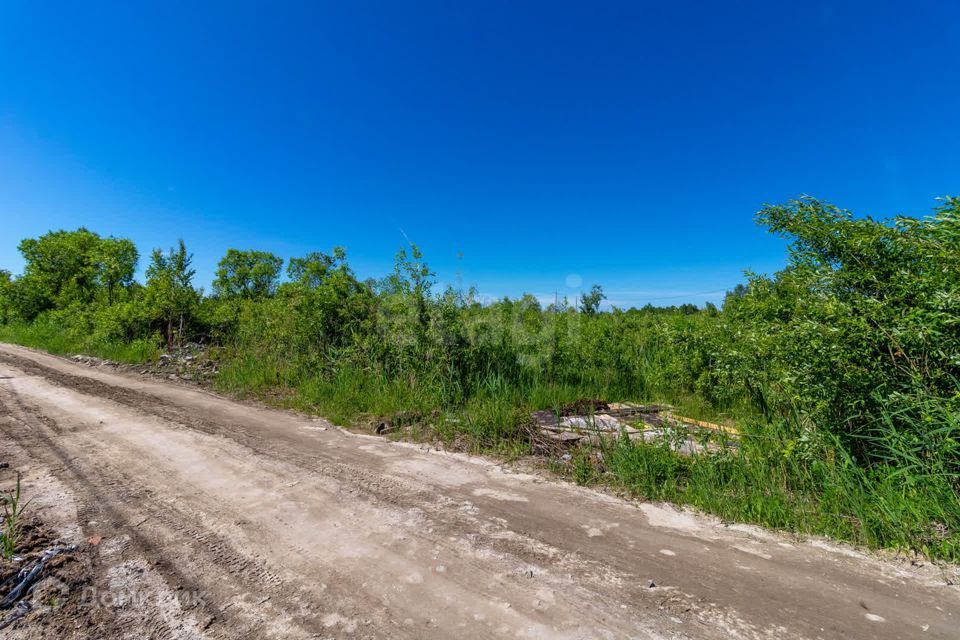 земля г Тюмень снт Зеленая Роща городской округ Тюмень, 11-я улица фото 4