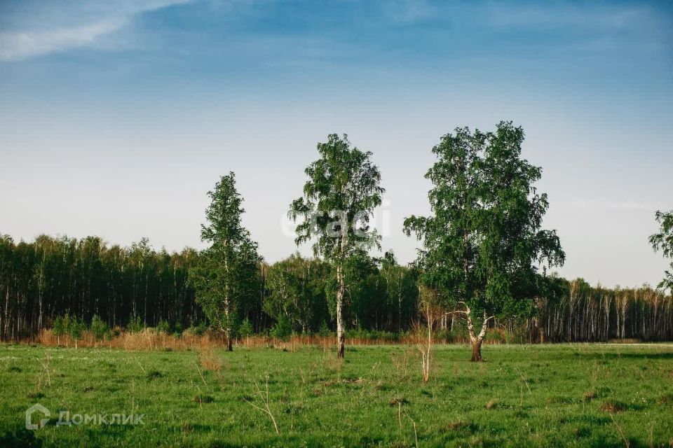 земля р-н Тюменский ДНТ Дачи Хюгге фото 2