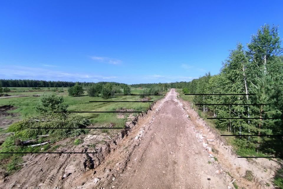 земля р-н Нижнетавдинский снт Венеция фото 1