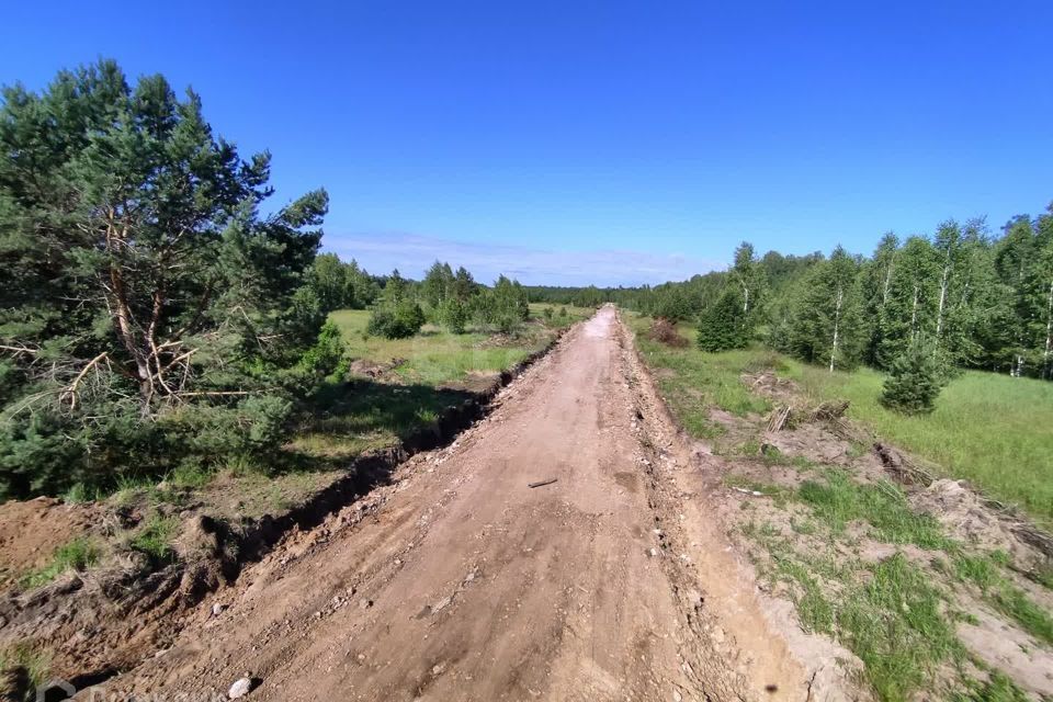 земля р-н Нижнетавдинский садоводческое некоммерческое товарищество Царицыно фото 1