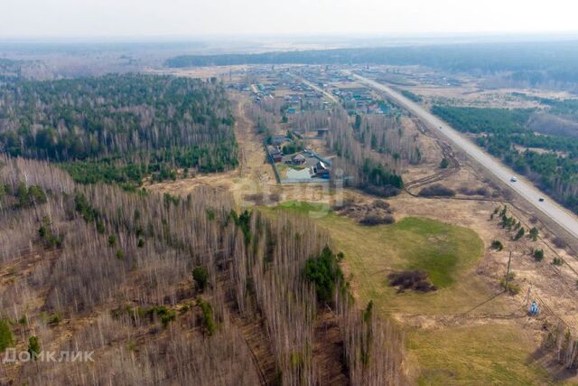 село Черепаново фото