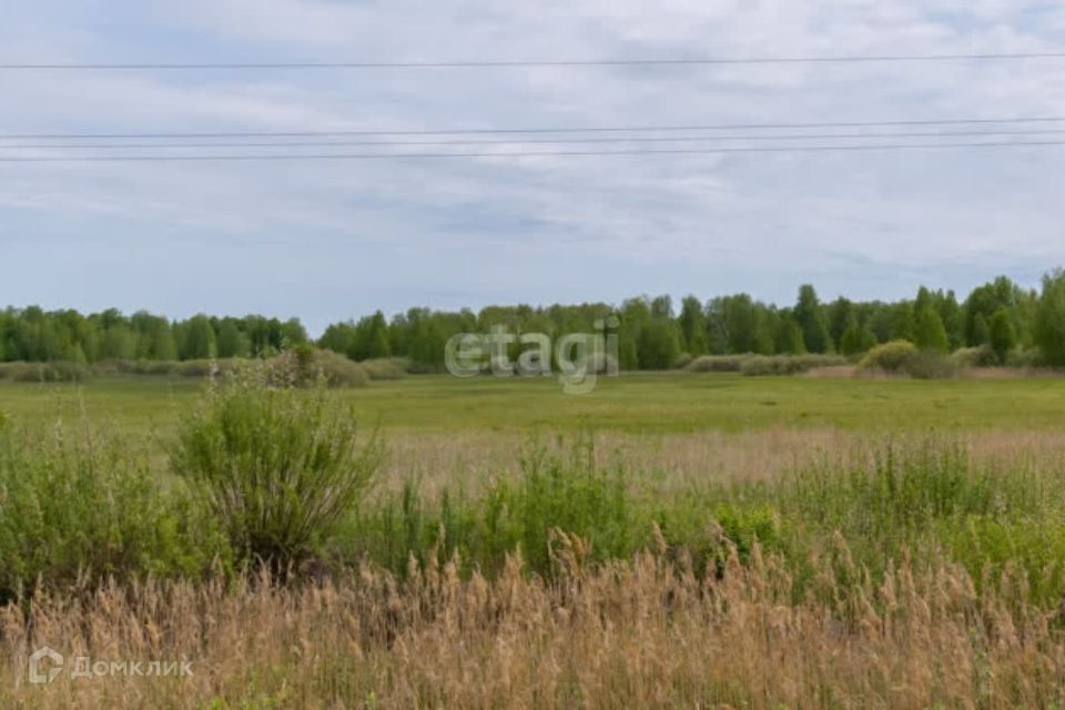 земля г Тюмень городской округ Тюмень, садовое товарищество Золотая Осень-2 фото 1