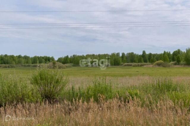 городской округ Тюмень, садовое товарищество Золотая Осень-2 фото