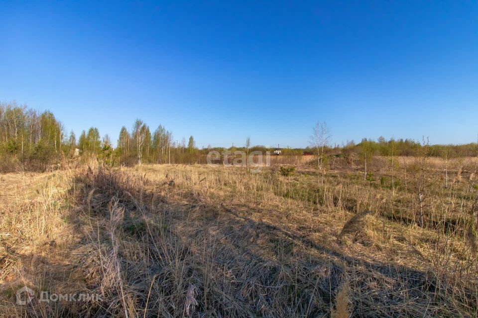 земля р-н Нижнетавдинский садовое товарищество Душевное фото 2