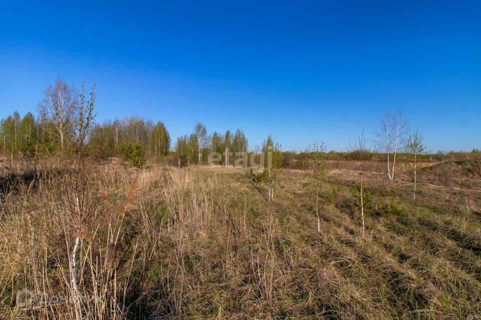 земля р-н Нижнетавдинский садовое товарищество Душевное фото 4