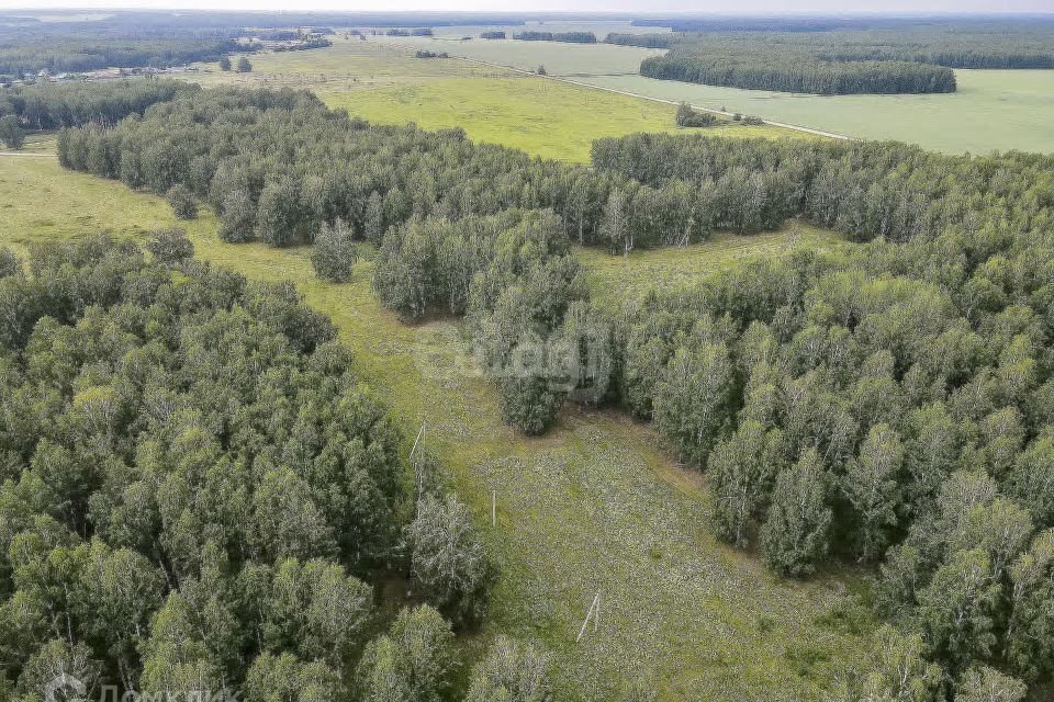 земля р-н Нижнетавдинский село Черепаново фото 2